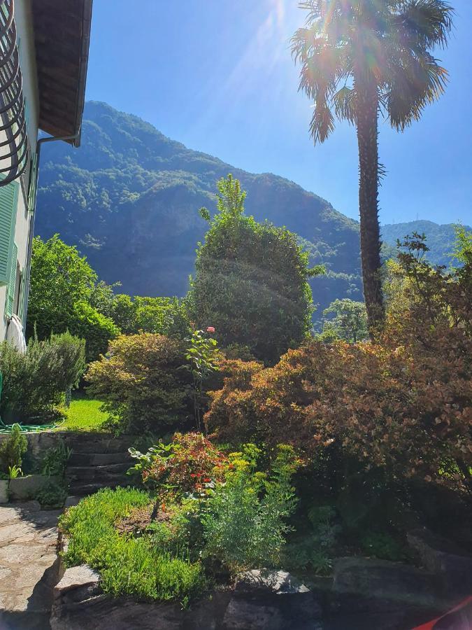 La Pergola Appartement Avegno Buitenkant foto